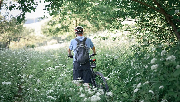 Objavte tento autentický kút severovýchodného Slovenska. Spoznajte Poloniny na dvoch kolesách a využite pritom naše dlhoročné skúsenosti a služby.